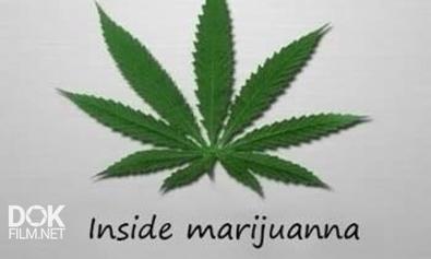 Взгляд Изнутри. Супертрава. Марихуана / Inside. Marijuana (2009)