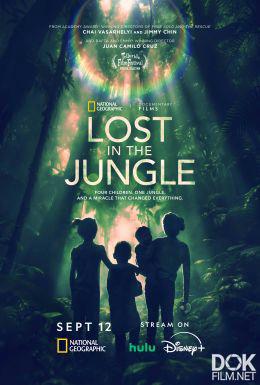 Затерянные в джунглях/ Lost in the Jungle (2025)