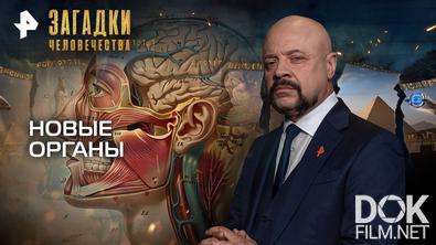 Загадки человечества с Олегом Шишкиным. Новые органы (22.09.2025)