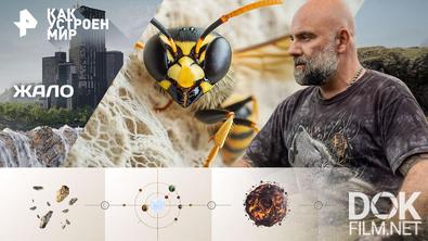 Как устроен мир с Тимофеем Баженовым. Жало (06.04.2026)