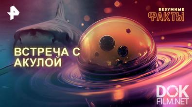 Безумные факты. Встреча с акулой (2025)