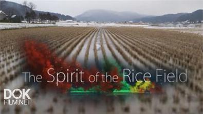 Соединяя Традиции. Дух Рисового Поля / Connecting Traditions. The Spirit Of The Rice Field (2016)
