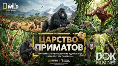 Царство приматов/ Primate Planet (2025)