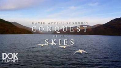 Покорение Небес С Дэвидом Аттенборо / David Attenborough\'S Conquest Of The Skies (2014)