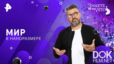 Знаете ли вы, что? Мир в наноразмере (2026)