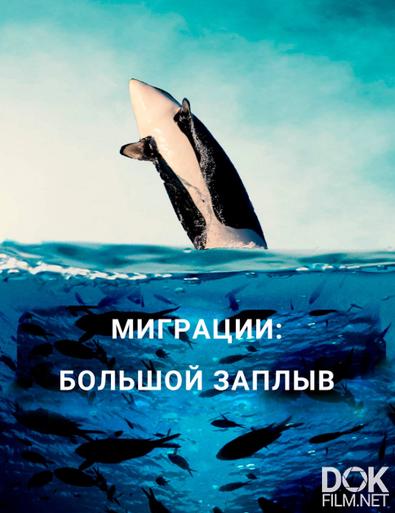 Миграции: большой заплыв/ Migrations: The Big Swim (2020)