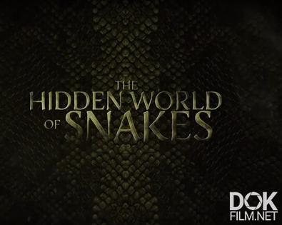 Тайный мир змей/ The Hidden World of Snakes (2025)