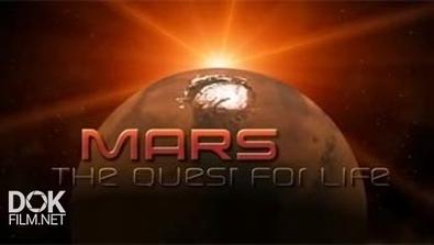 Марс: Поиск Жизни / Mars: The Quest For Life (2008)