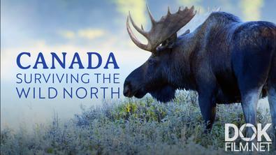 Канада: выживание на Диком Севере/ Canada: Surviving the Wild North (2022)
