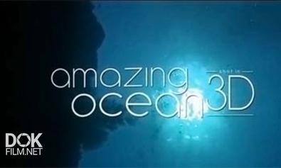 Удивительный Океан / Amazing Ocean (2012) Hd 720