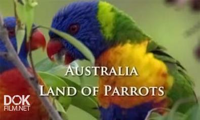 Австралия Страна Попугаев / Australia Land Of Parrots (2007) Hd 1080