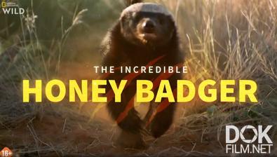 Удивительный медоед/ The Incredible Honey Badger (2025)