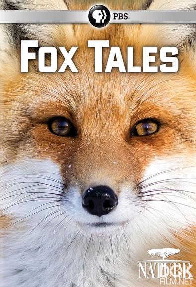 Лисьи истории/ Fox Tales (2017)