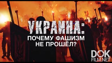 Документальный спецпроект. Украина: почему фашизм не прошел? (2022)