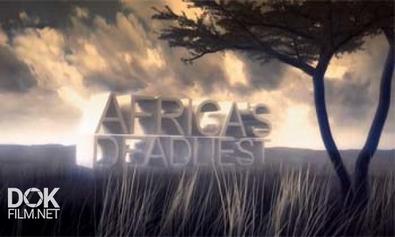 Хищники Африки: Идеальные Убийцы / Africa\'S Deadliest (2011)