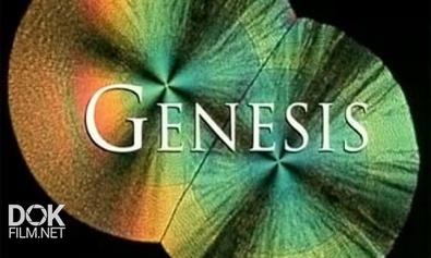 Генезис / Genesis (2004)