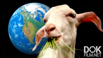 Животные, изменившие мир. Полюбишь и козла (2023)
