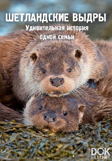 Шетландские выдры. Удивительная история одной семьи/ Shetland's Otters. The Tale of a Draatsi Family (2019)