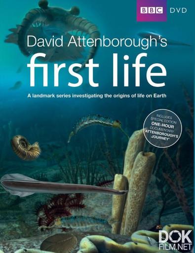 BBC: Истоки жизни/ Первая жизнь/ David Attenborough's First Life (2010)