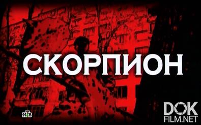 Следствие Вели... Скорпион (2013)