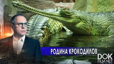 Самые Шокирующие Гипотезы. Россия - Родина Крокодилов (27.01.2021)