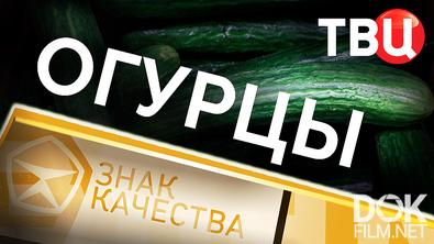 Знак качества. Огурцы (2026)