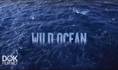 Дикий Океан / Wild Ocean (2012)