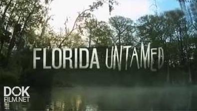 Дикая Флорида / Florida Untamed (2013)
