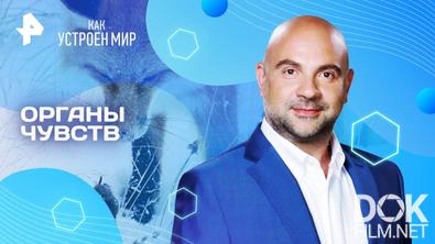 Как устроен мир с Тимофеем Баженовым. Органы чувств (20.08.2025)