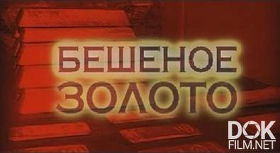 Следствие вели... Бешеное золото (2013)