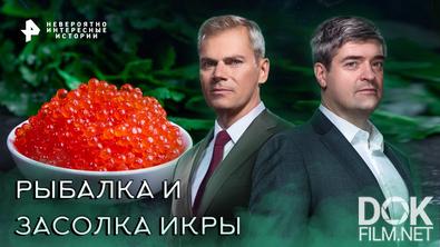 Невероятно интересные истории. Рыбалка и засолка икры (15.11.2022)