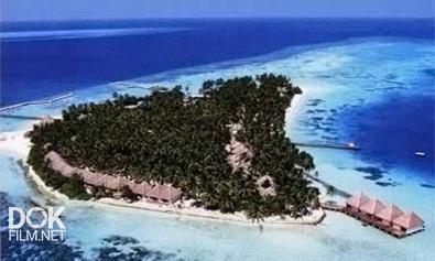 Золотой Глобус (091). Мальдивские Острова. Рай На Краю Света (2011)