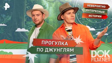 Невероятно интересные истории. Прогулка по джунглям (10.11.2025)