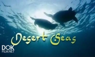 Моря Пустыни / Desert Seas (2011)