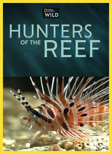 Охотники кораллового рифа/ Hunters of the Reef (2025)