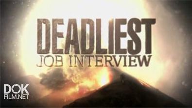 Смертельное Собеседование / Deadliest Job Interview (2016)