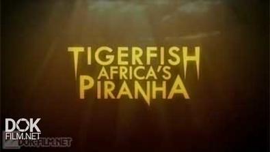 Терапон. Африканская Пиранья / Tigerfish. Africa\'S Piranha (2014)