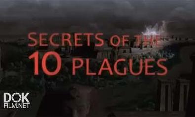 Десять Казней Египетских / Secrets Of The 10 Plagues (2008)