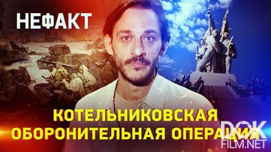 Не факт! Котельниковская оборонительная операция (2025)