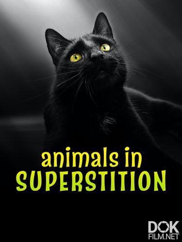 Животные и суеверия/ Animals in Superstition (2022)
