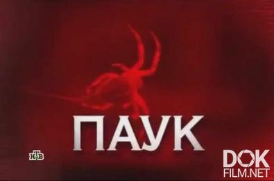 Следствие вели... Паук (2012)