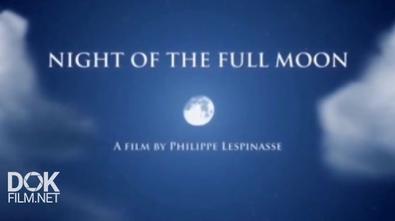 Ночь Полной Луны / The Night Of The Full Moon (2016)