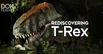 Новый Взгляд На Тираннозавра/ Rediscovering T. Rex (2018)