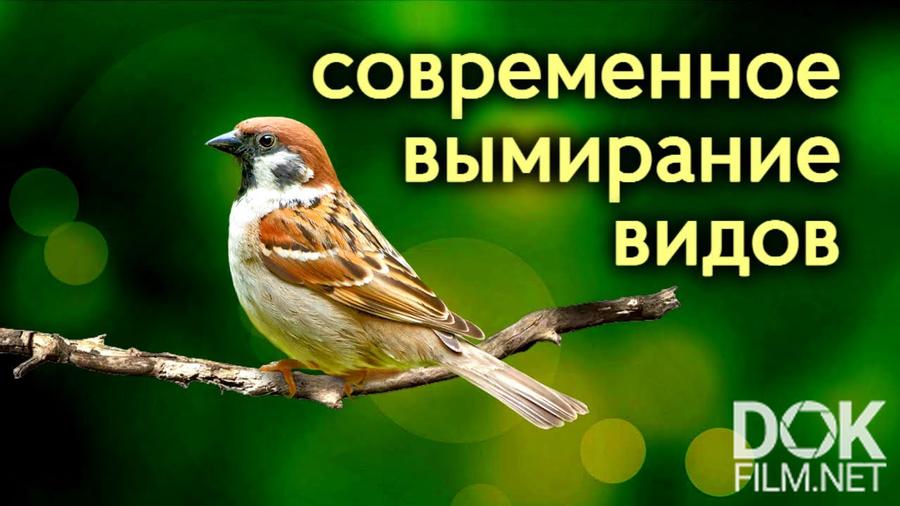 звезда отборочный этап ответы 2023 2024. звезда отборочный этап ответы 2023 2024. звезда отборочный этап ответы 2023 2024. звезда отборочный этап ответы 2023 2024. звезда отборочный этап ответы 2023 2024.