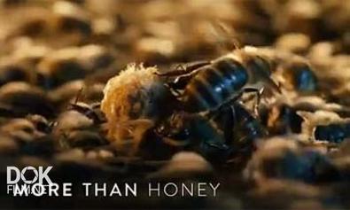 Больше Чем Мед / More Than Honey (2012)