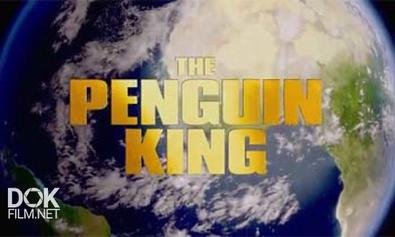 Король Пингвинов / The Penguin King (2012)