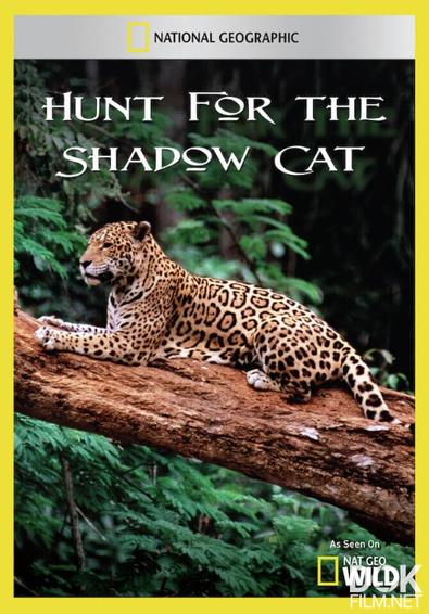 В поисках неуловимой кошки/ Hunt for the Shadow Cat (2011)
