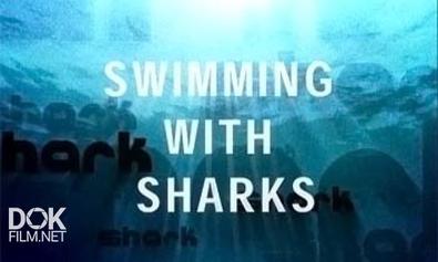В Компании Акул / Swimming With Sharks (2002)