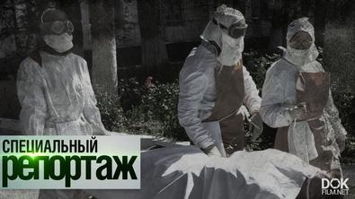 Эпидемия Холеры. Болезнь Бедняков Xix Века. Специальный Репортаж (2020)