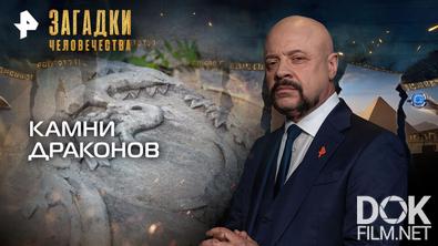 Загадки человечества с Олегом Шишкиным. Камни драконов (09.02.2026)